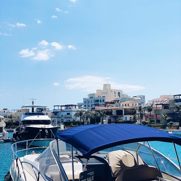 Friends celebrating together